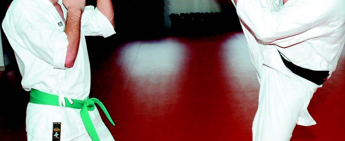 KYOKUSHIN 2010 – STANCU IONEL